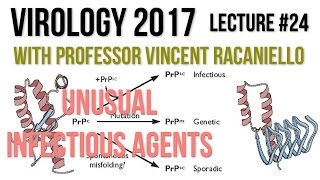 Virology Lectures 2017 24 Unusual Infectious Agents [upl. by Fauver872]