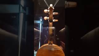 Andrea Amati quotCarlo IXquot Violin Cremona Museum [upl. by Airdna168]