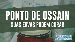 Ponto de Ossain  Suas ervas podem curar [upl. by Rednaeel]