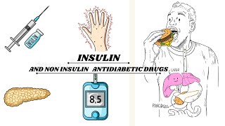 ANTIDIABETIC DRUGSRAPIDSHORTINTERMEDIATE AND LONG ACTING INSULIN pharmacologykatzunglippincott [upl. by Ahsenra]