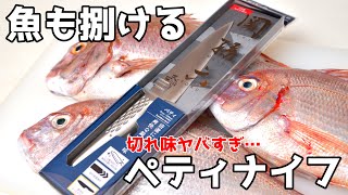 関孫六ペティナイフが切れ味最強で、魚さばきも余裕すぎた【真鯛のさばき方】【オススメ包丁】 [upl. by Kimbra]