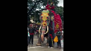 PINAKI THE PHANTOM  MOST POPULAR ELEPHANT IN DASARA [upl. by Staley]