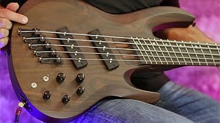 Review Demo  ESP LTD B1005SE 5String Bass [upl. by Libbie]