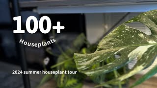 plant tour  2024 summer collection [upl. by Aivitnahs]