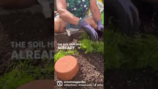 Ancient Irrigation with Olla Pots How To Install [upl. by Ally]