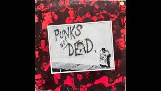 Exploited  Punks Not Dead Full Album [upl. by Leon429]