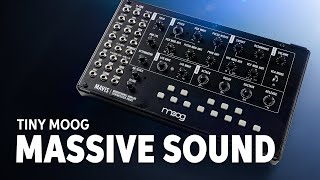 Moog Mavis Semimodular Analog Synthesizer Kit Demo — Daniel Fisher [upl. by Ecyob]