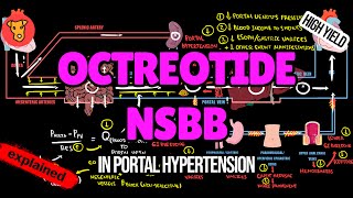 OCTREOTIDE Nonselective bblockers for Variceal bleeding Mechanism of action Vasoconstriction [upl. by Dunson]