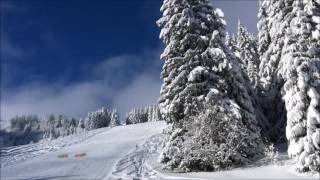 Descente des pistes à Megève [upl. by Daeriam]