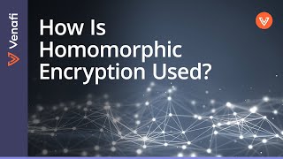 What Is Homomorphic Encryption  Paul Cleary [upl. by Forlini]