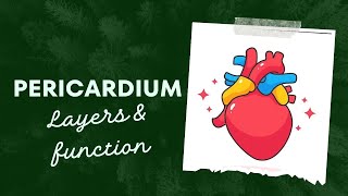 pericardium types pericardial cavity pericardial fluid [upl. by Airahs]