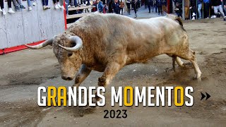 🤩 GRANDES MOMENTOS de 2023 · Primera parte [upl. by Haiacim587]