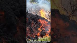 Which Type of Lava Flow is Fastest [upl. by Rosenkrantz]