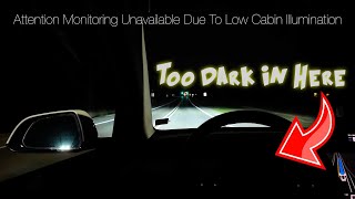 Tesla Model 3 Low Cabin illumination [upl. by Nnylesor654]