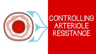 43 Cardiovascular Controlling Arteriole Resistance [upl. by Edwyna]