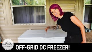 Is This The Ultimate Off Grid Deep Freezer [upl. by Wildee]