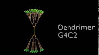 G4C2 Dendrimer animation [upl. by Sidonnie]