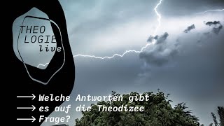 Welche Antworten gibt es auf die TheodizeeFrage  Theologie live [upl. by Jorin51]