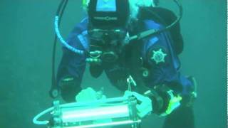 How Much Does Coral Glow João Monteiro uses a PAM Fluorometer for Reef Research [upl. by Winny]