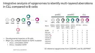 Regulatory mechanisms in lymphoid leukemias by integrative epigenomics [upl. by Angelica549]