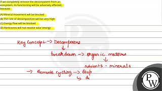 If we completely remove the decomposers from an ecosystem its functioning will be adversely aff [upl. by Yaresed]