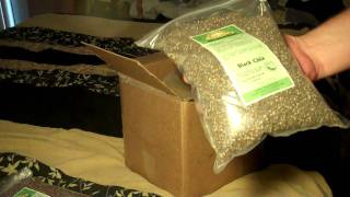 Sprouts perfect SHTF storable foods [upl. by Neened]