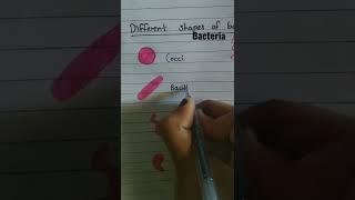 Different shapes of bacteria [upl. by Gomar314]