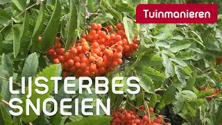 De Lijsterbes  Tuinmanieren [upl. by Atelra]