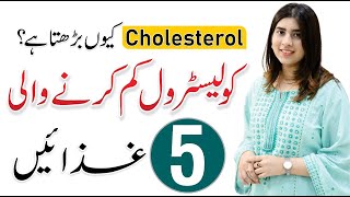 High Cholesterol Diet Plan  Causes Symptoms amp Treatment  By Hamala Khan [upl. by Ziul710]