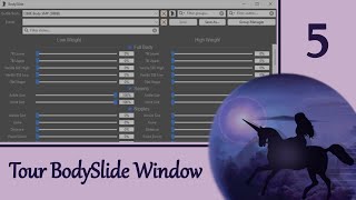 BodySlide 5 Touring the Main Window [upl. by Akimed]