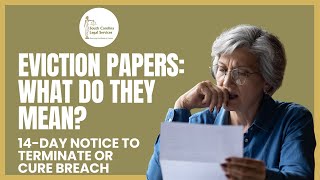 Eviction Papers  14 Day Notice to Terminate or Cure Alleged Breach [upl. by Aeet]