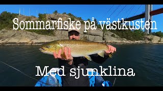 Sommarfiske efter stor havsöring på Västkusten [upl. by Ellimac813]