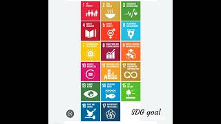 17 SDG Goals Target 20152030 [upl. by Rohclem]