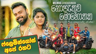 NOPATHUWA MOHOTHAKA Iනොපැතුව මොහොතක I MILINDA SANDARUWAN FLAMINGOES 2024 I flamingoes [upl. by Fairley]