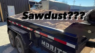 Sawdust for bedding Feeding a wrapped bale [upl. by Kleinstein]