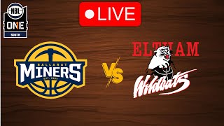 🔴 Live Ballarat Miners vs Eltham Wildcats  Live Play by Play Scoreboard [upl. by Risan]