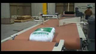 CBE 300 Series Bag Handling Conveyors Capabilities Video [upl. by Noled929]