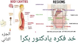 02 تجاويف الجسم body cavities [upl. by Cacilia309]