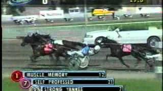 Hambletonian 2005 Vivid Photo [upl. by Fugere5]