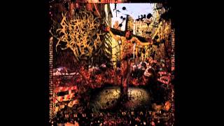 Abated Mass Of Flesh  Brutal Death 2013 Full Album [upl. by Ahgiela]