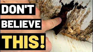 THE TRUTH ABOUT WOOD ROT You need to watch this [upl. by Stepha336]