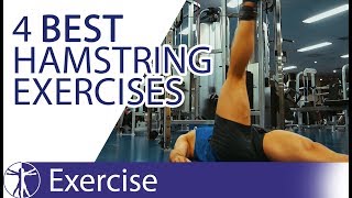 The 4 Best Hamstring Exercises  Hamstring Training [upl. by Gladdie709]