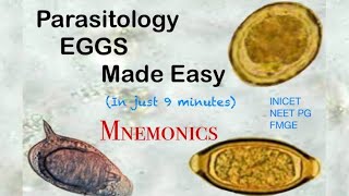 Parasitology Eggs Identification Mnemonic neetpg inicet fmge parasitology bscmicrobiology [upl. by Graniah]