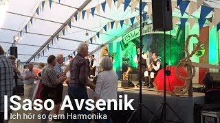 Saso Avsenik  Ich hör so gern Harmonika [upl. by Schwab457]