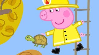 Rescuing Tiddles The Tortoise 🐢  Peppa Pig Official Full Episodes [upl. by Obaza]