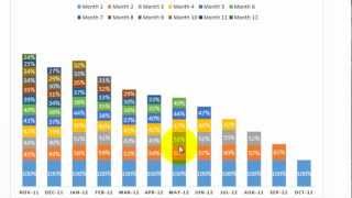 Excel Cohort Analysis [upl. by Egrog]