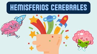 Hemisferios cerebrales y sus funciones [upl. by Anerres914]