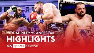 Viddal Riley BLASTS OUT Anees Taj 🔥  HIGHLIGHTS [upl. by Lorenzana938]