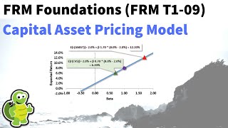 Capital asset pricing model CAPM FRM T19 [upl. by Anada]