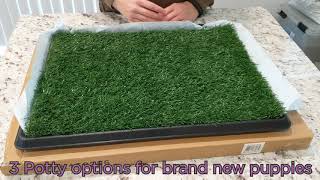 Unboxing PetMaker Artificial Grass Bathroom Mat for Puppies and potty options for new puppies [upl. by Livvy]